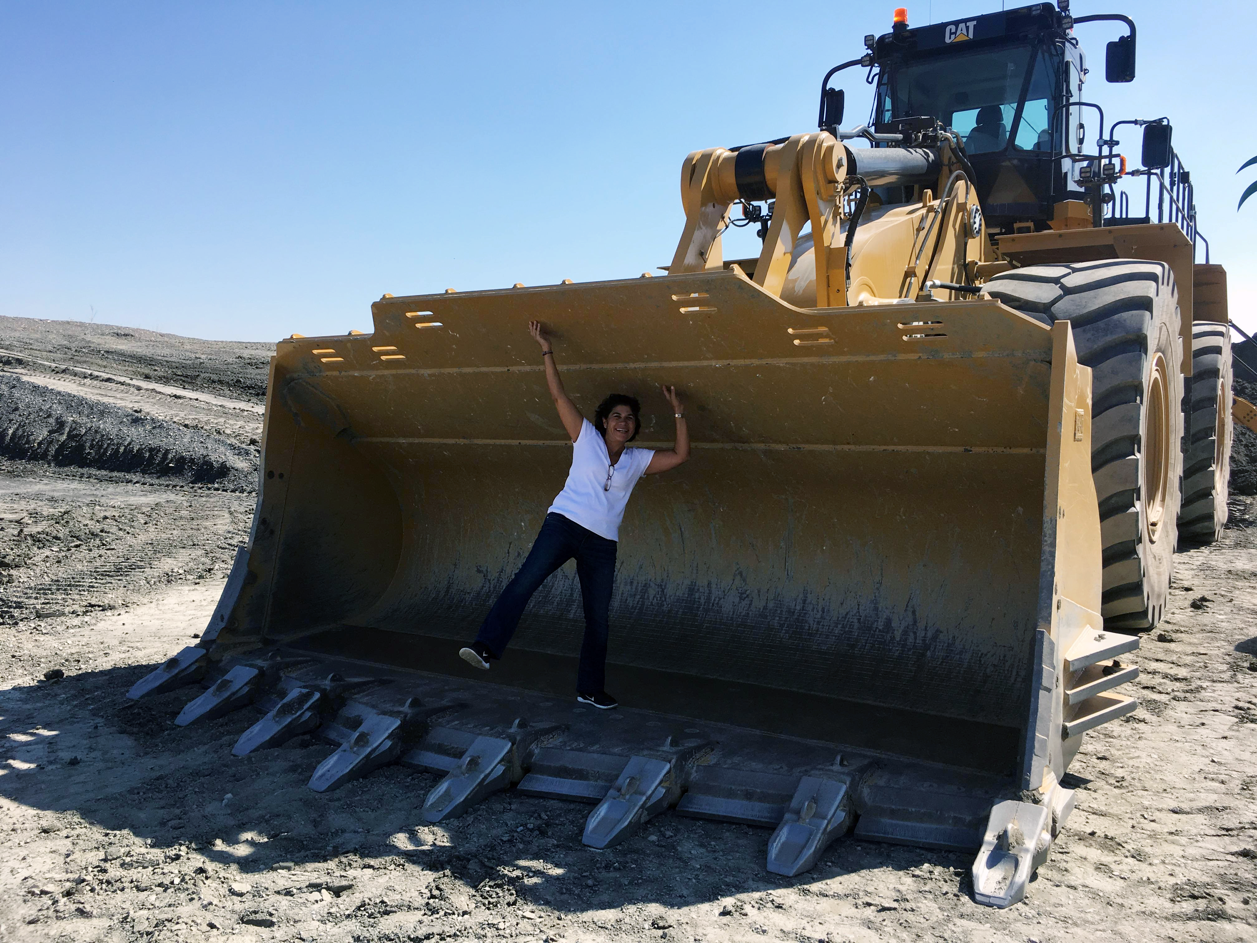 Executive coaching and leadership challenges